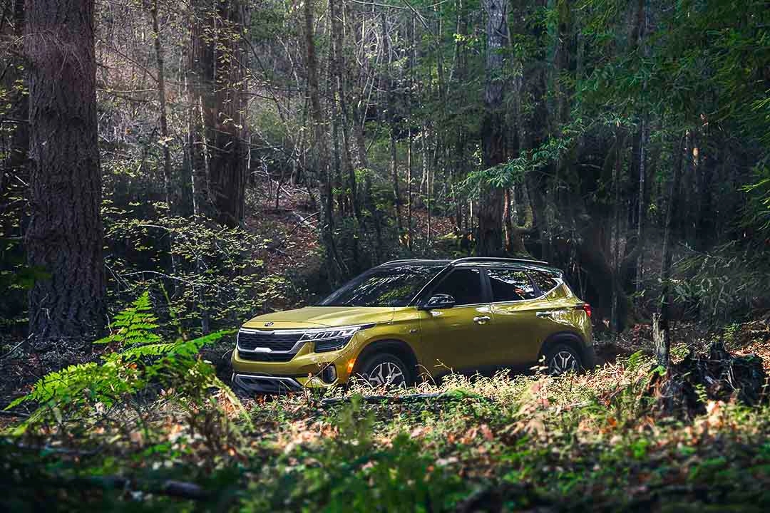 Vue trois quart avant du Kia Seltos 2021 dans une forêt